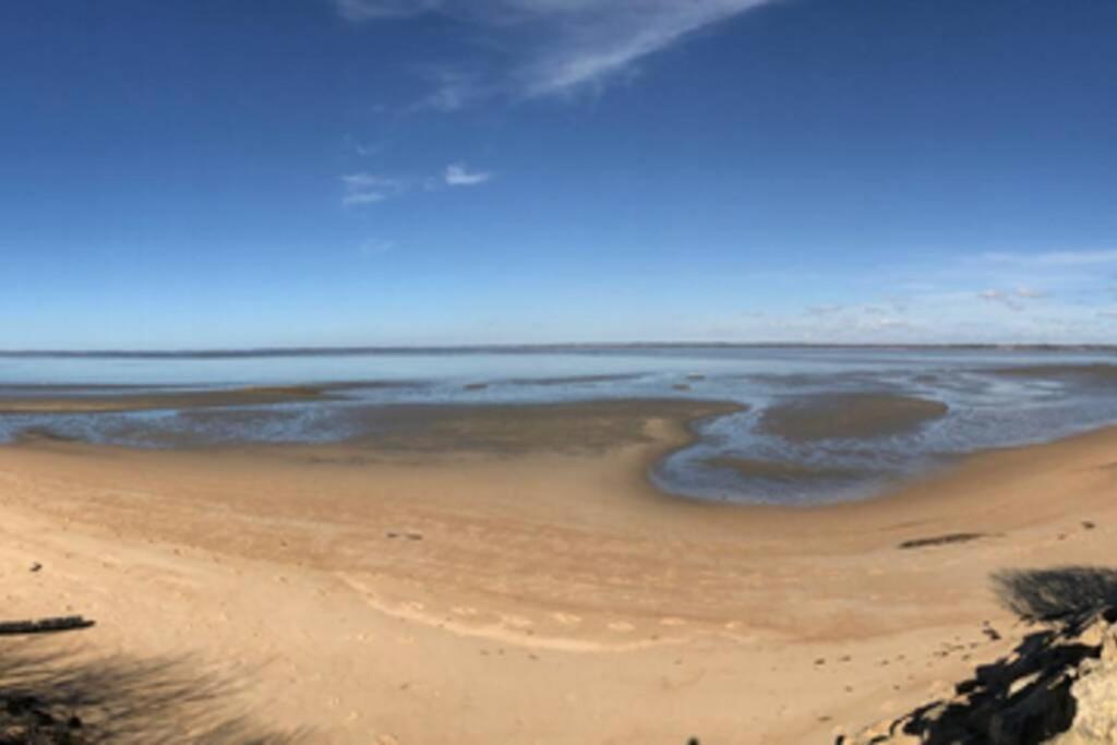 La Cabane De Carol Au Coeur Du Bassin D'Arcachon เลอแตช ภายนอก รูปภาพ