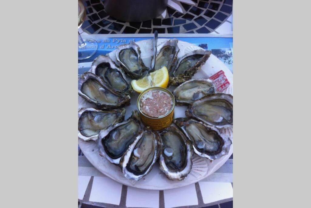 La Cabane De Carol Au Coeur Du Bassin D'Arcachon เลอแตช ภายนอก รูปภาพ