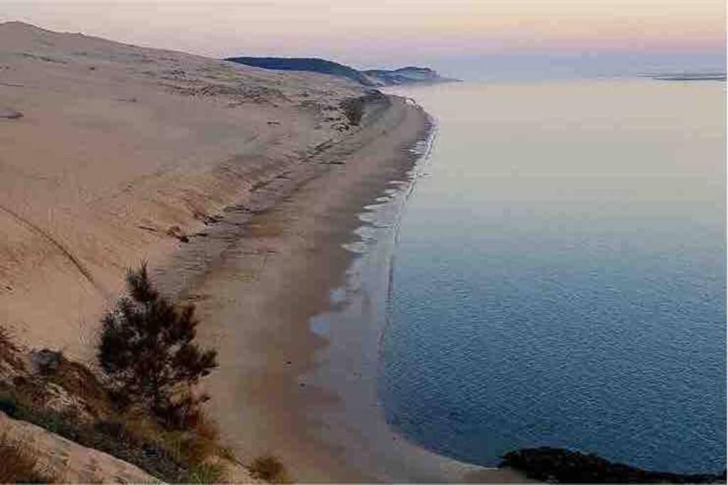 La Cabane De Carol Au Coeur Du Bassin D'Arcachon เลอแตช ภายนอก รูปภาพ
