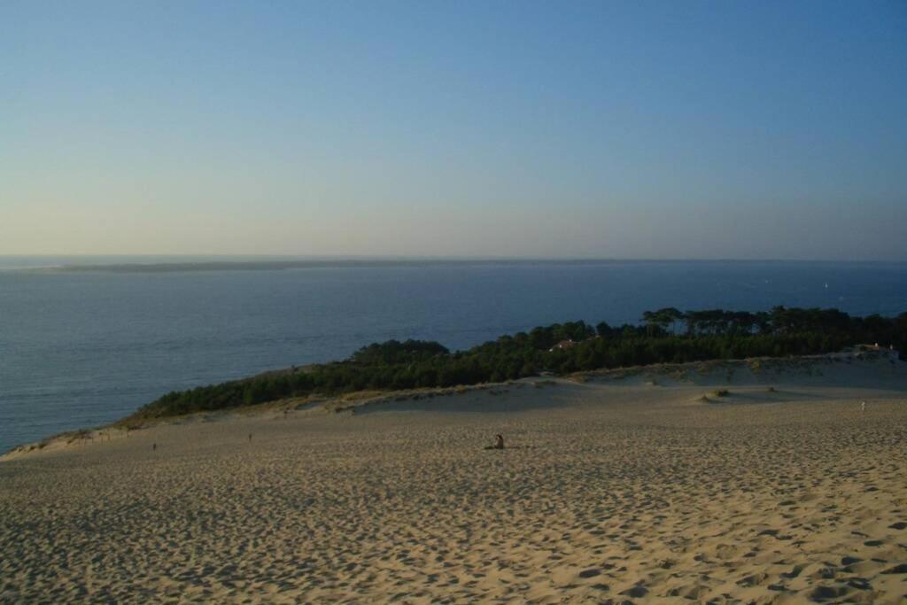 La Cabane De Carol Au Coeur Du Bassin D'Arcachon เลอแตช ภายนอก รูปภาพ